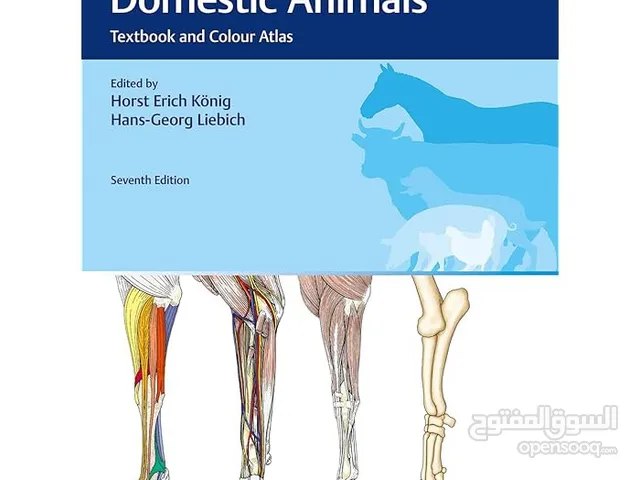 Veterinary Anatomy Of Domestic Animals