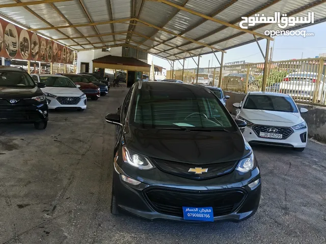 شفر بولت 2019 فحص كامل