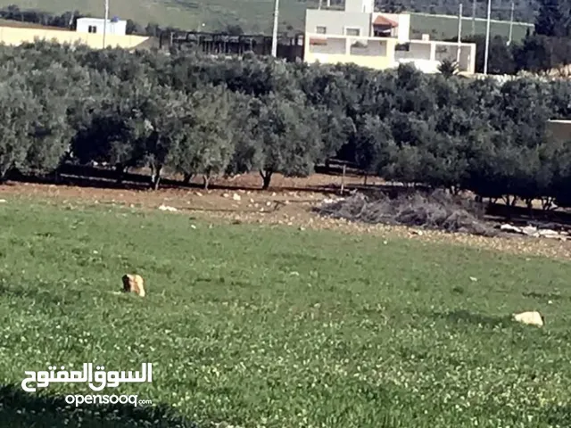 Residential Land for Sale in Madaba lob