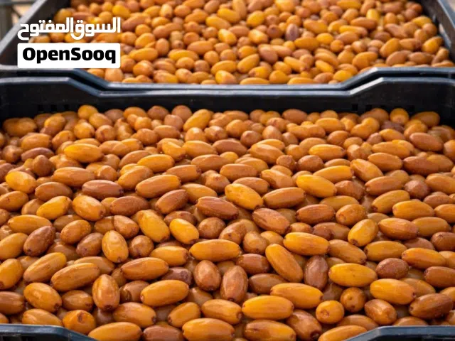 تمر للبيع بسعر الجملة