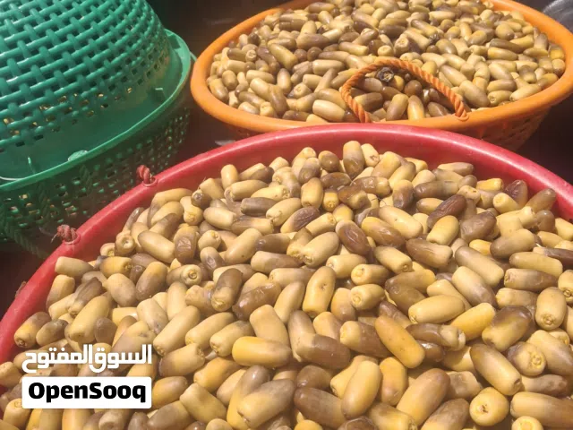 رطب نغال حبه كبيره وجوده ممتازه