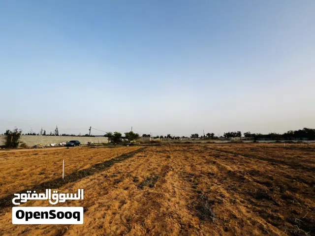 Farm Land for Sale in Misrata Tamina