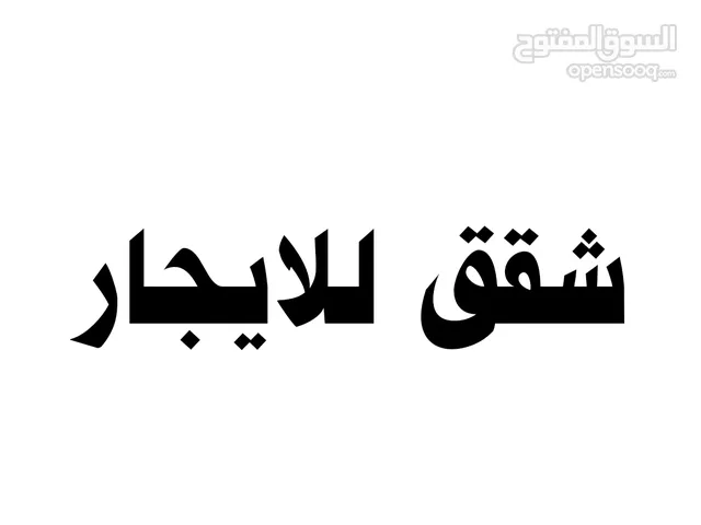 شقه كبيره للإيجار في جنوب عبدالله مدخل المنطقة