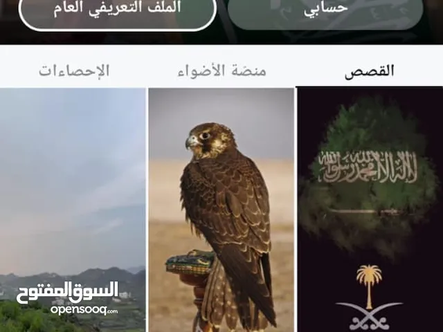 Social Media Accounts and Characters for Sale in Dubai