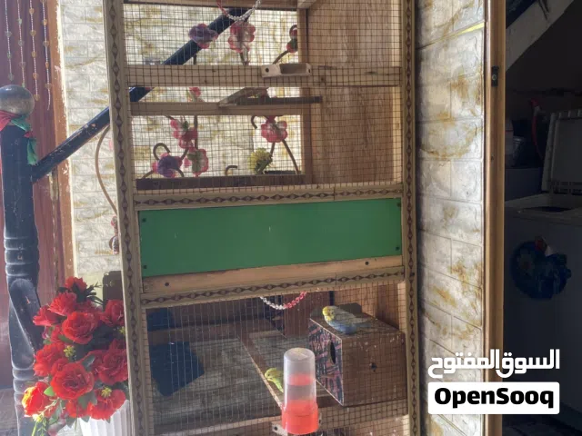 قفص للبيع خانتين