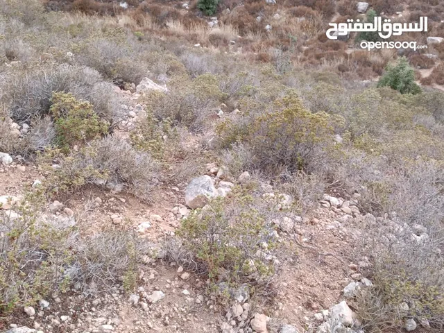 Residential Land for Sale in Ramallah and Al-Bireh Al Baloue