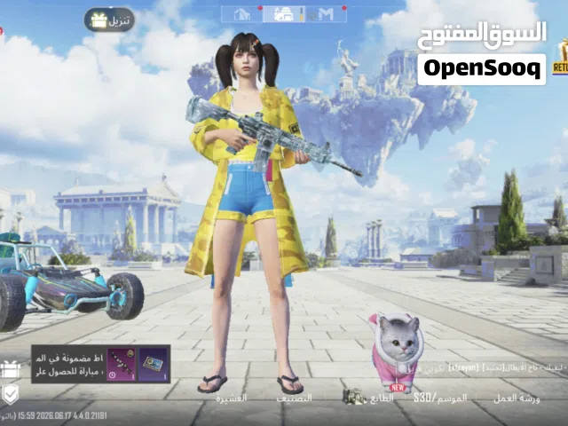 Pubg Accounts and Characters for Sale in Basra