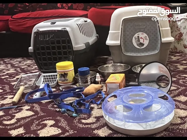 للبيع مستلزمات قطط استخدام بسيط