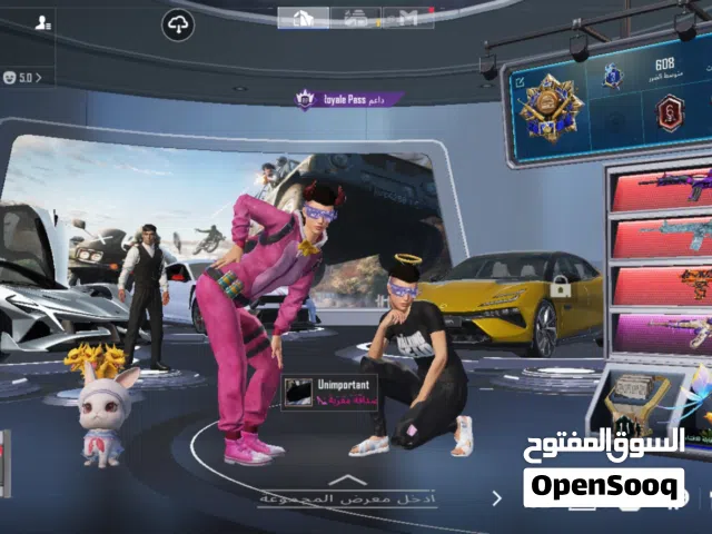 Pubg Accounts and Characters for Sale in Northern Governorate