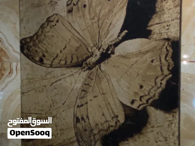 زولية كاشان أيراني