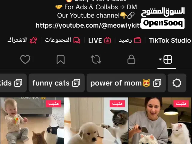 Social Media Accounts and Characters for Sale in Irbid