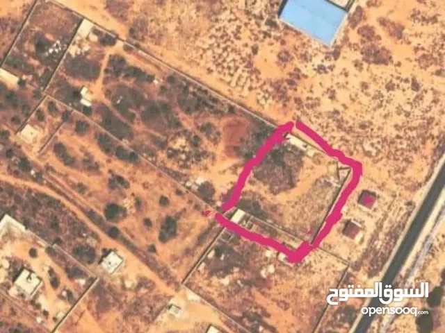 قطعه ارض للايجار على طريق الريسي بها استراحة شبه كامله