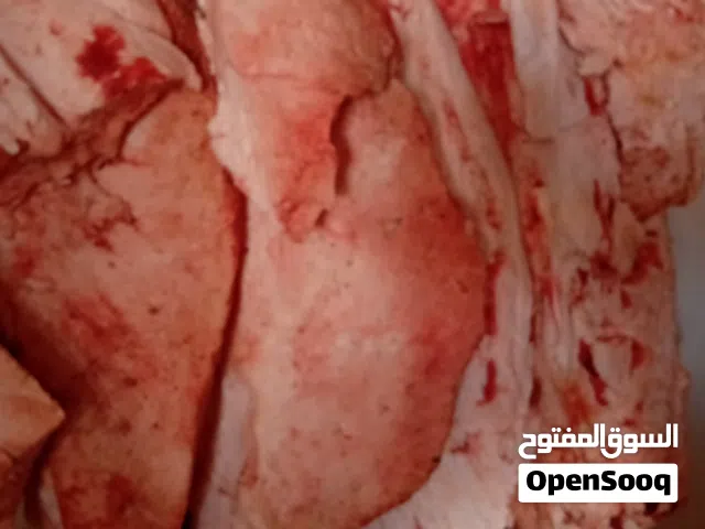 شحم جمل كميات