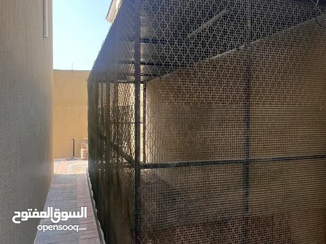 قفص كبير وطاولة