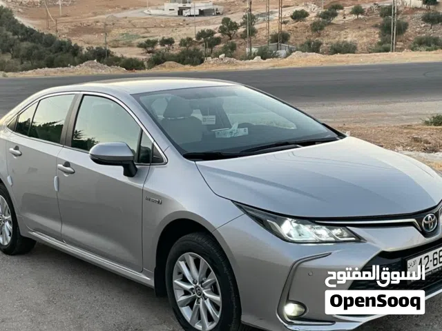 2024, تويوتا, كورولا, Hybrid