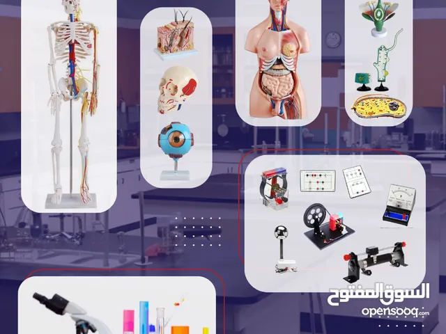 مجسمات ودميات تعليمية مدارس وجامعات كليات ومعاهد معامل ومختبرات كيماويات