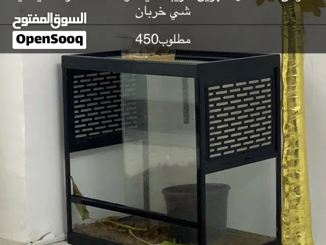 حوض زجاجي مع فتحات تهويه جانبيه و غطاء شبك من الاعلى ل التهويه ل الزواحف