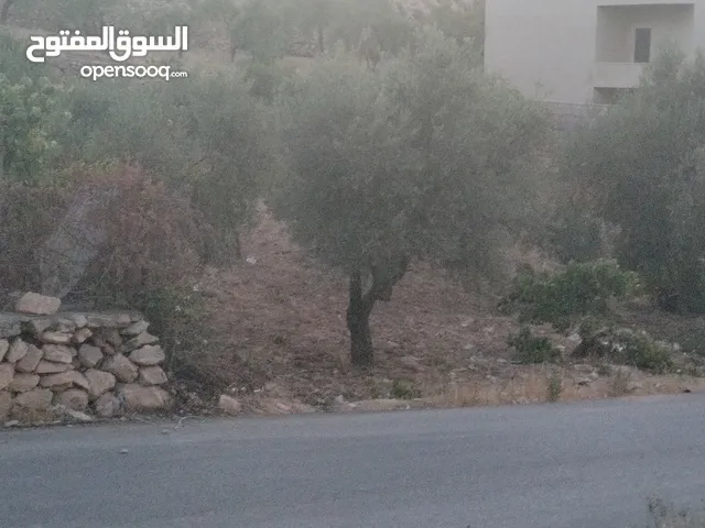 Residential Land for Sale in Amman Safut