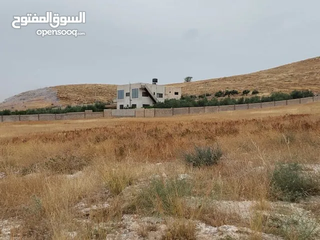 Farm Land for Sale in Amman Iraq Al Ameer