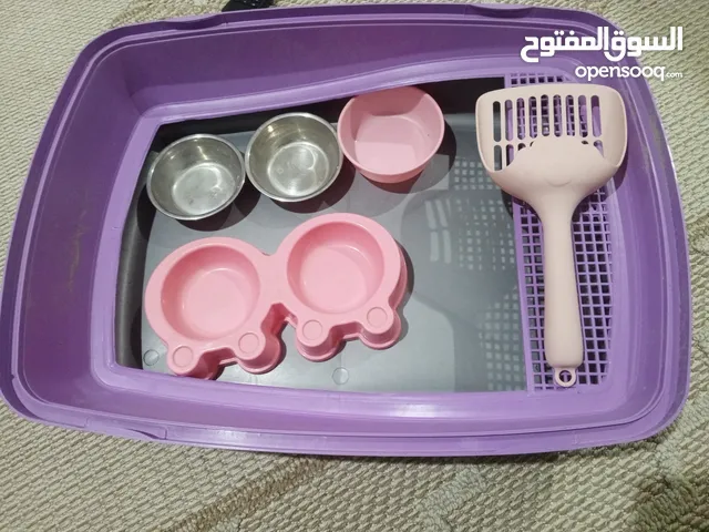 اغراض قطط للبيع
