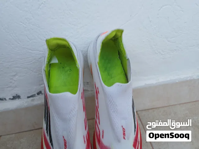 F50 lamin yamal