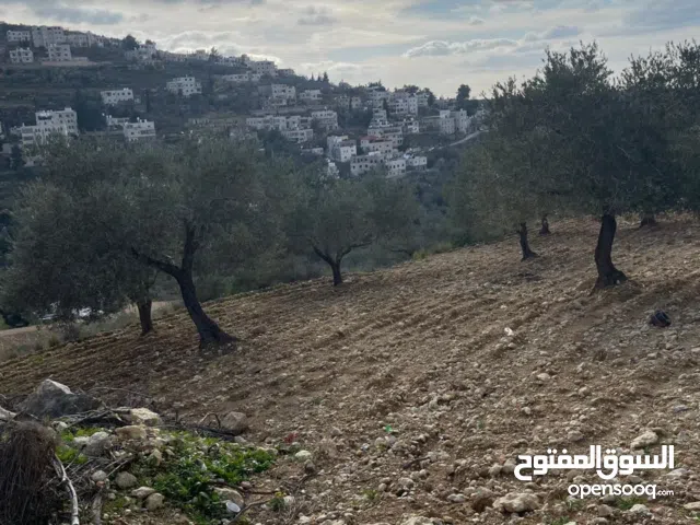 قطعة ارض مربعة الشكل