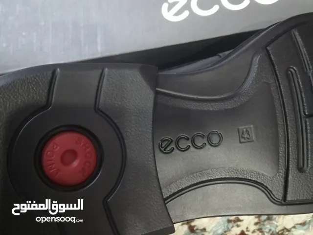 43 Others in Buraimi