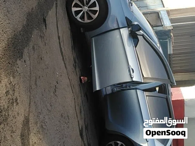 2017 جريت وول C 30