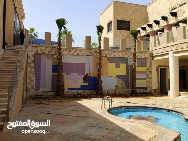نخل واشنطن زينه امريكي