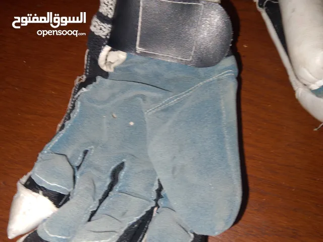 cricket batsman gloves of grey nicolls it is a pair