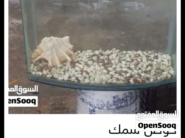حوض سمك للبيع او البدل