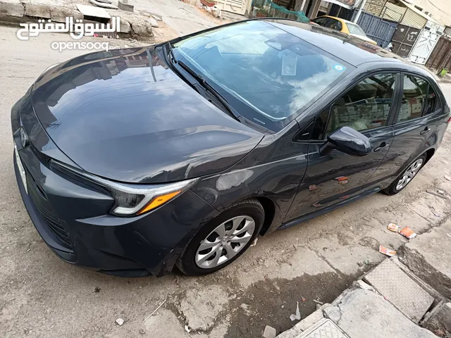 New Toyota Corolla in Baghdad