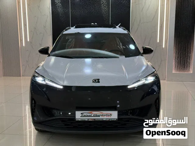 2027 دونج فينج ميج EV