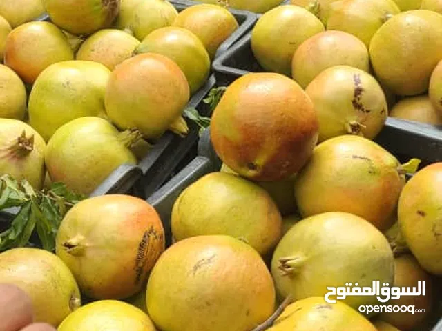 بيع وتسويق وتصدير جميع الخضروات والفواكة اليمنية