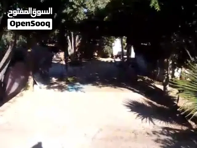 بيت للبيع غرفتين ومطبخ وحمام وبرنده كبيره حديقه حلوه