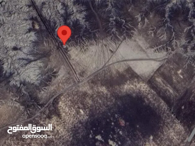 Farm Land for Sale in Sennar Sennar