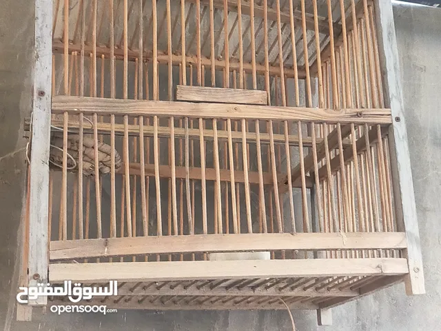 اقفاص طيور