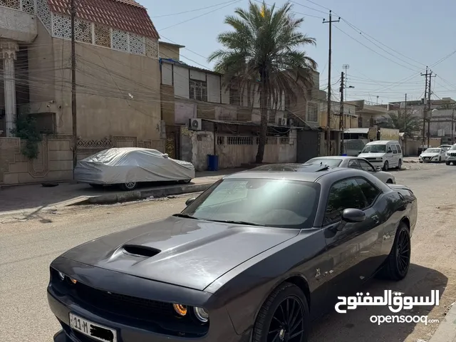 Used Dodge Challenger in Basra