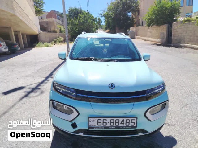2023 Dongfeng Other