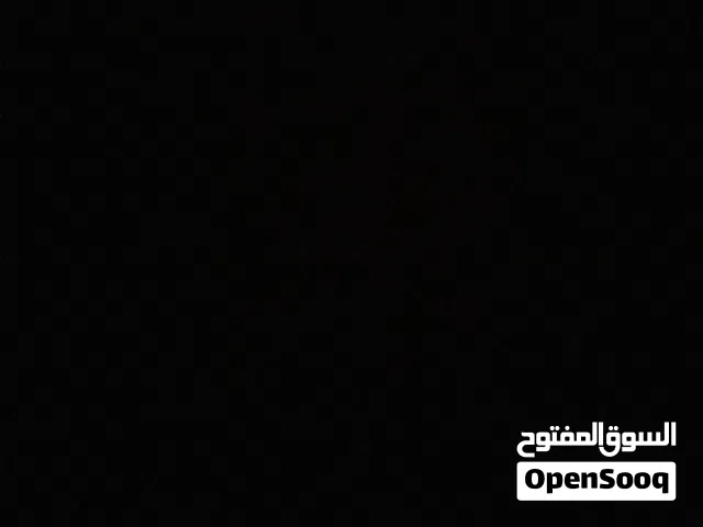 مطلوب خيل او فرس بين 200 و 300