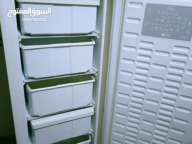 Other Freezers in Giza