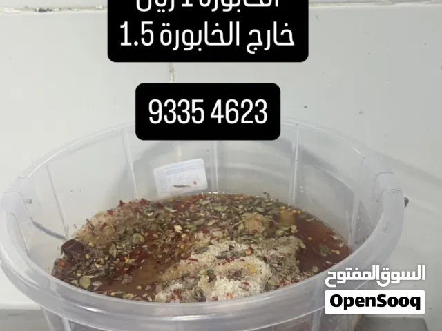 مالح جيذر وقاشع