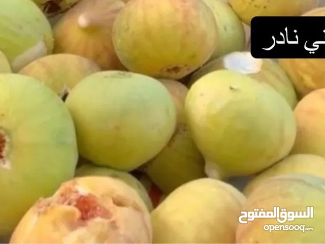 تين عماااااااااني طعم مميززززززززززززززززززززززززززززززززززززززززززززززززززززززززززززززززززززززززززز
