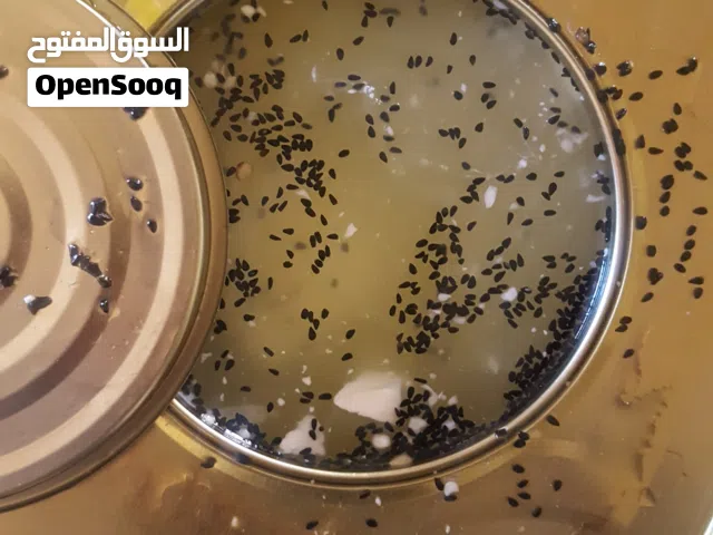 جبنه غنم حليب خير السنه