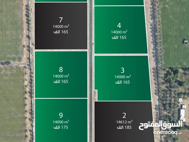 لعشاق المساحات العملاقة تملك ارضك الزراعيه على أول خط من شارع السلطان قابوس مع تصريح بناء وحده سكنيه