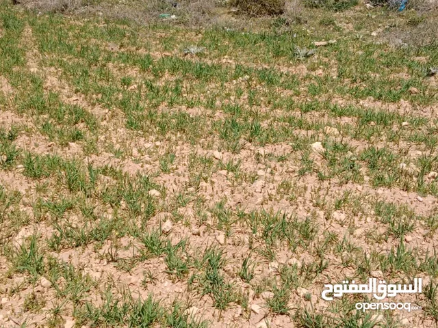 أرض للبيع لقطة في شفابدران زينات الربوع