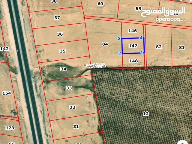 Farm Land for Sale in Amman khan Al-Zabib