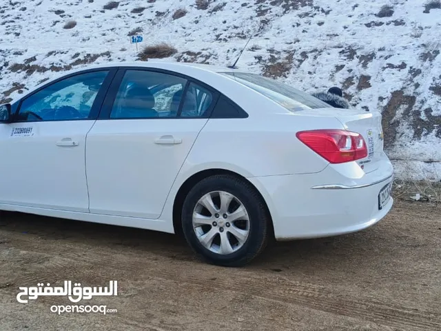 شوفر كروز 2016