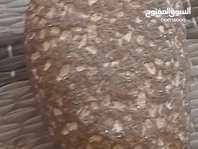 حجر اسود عليه زجاج لامع
