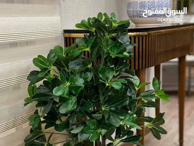 اشجار صناعية زرعات مميزة